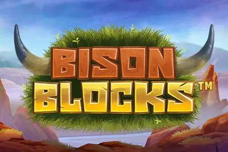 Bison Blocks